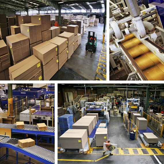 مساحت مورد نیاز برای راه اندازی کارخانه کارتن سازی چقدر باید باشد